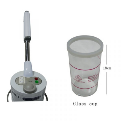 Beauty Facial Steamer With Ozone